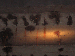 odsloniecie-zbrojenia-1